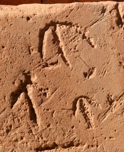 Aranda engravings at Wallace Rockhole which signify woodduck dreaming