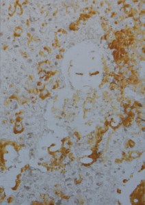 casuarina 2011 gesso, pumice and ochre on board