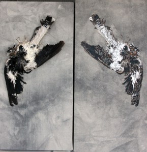 peewee and oil 2012